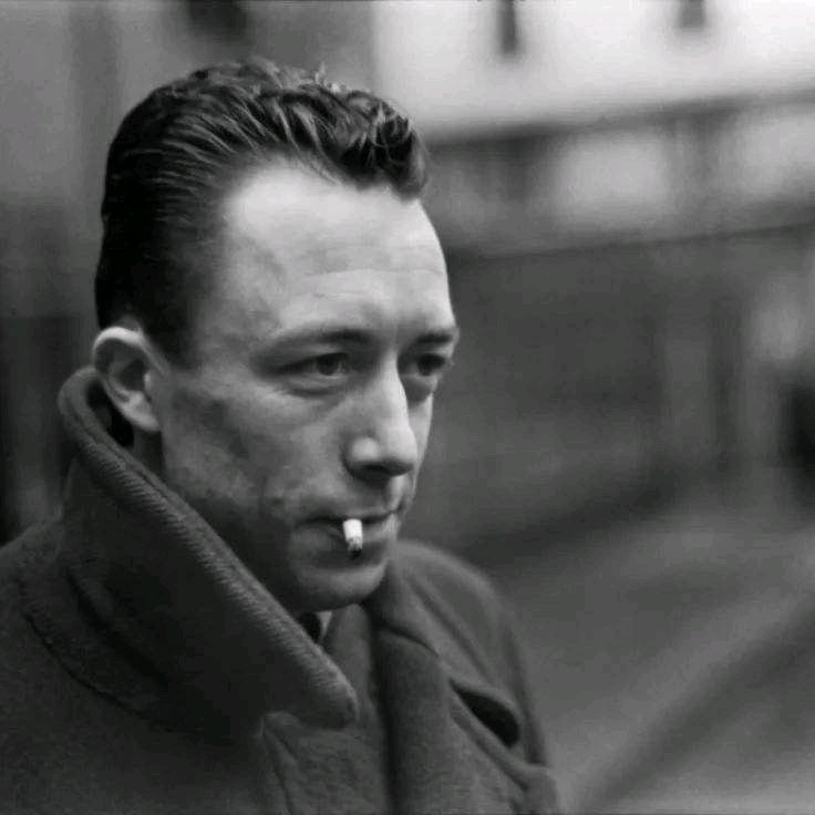 冰糖雪梨配葫芦