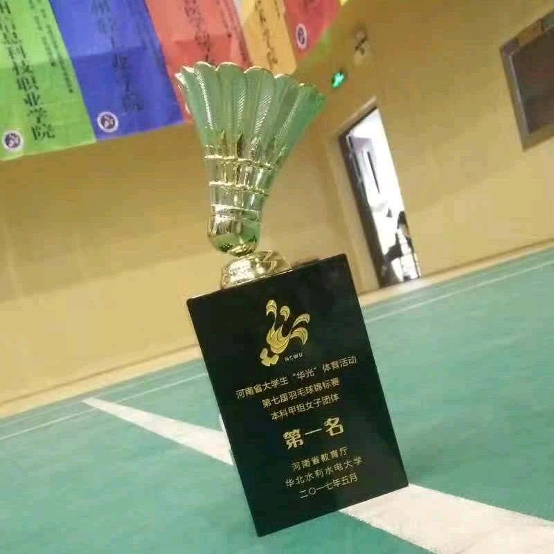 西亚斯—飞扬羽球