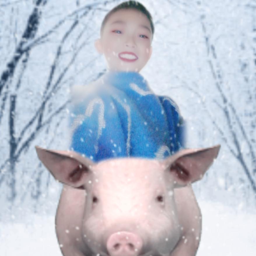 咱家有两个小宝丶