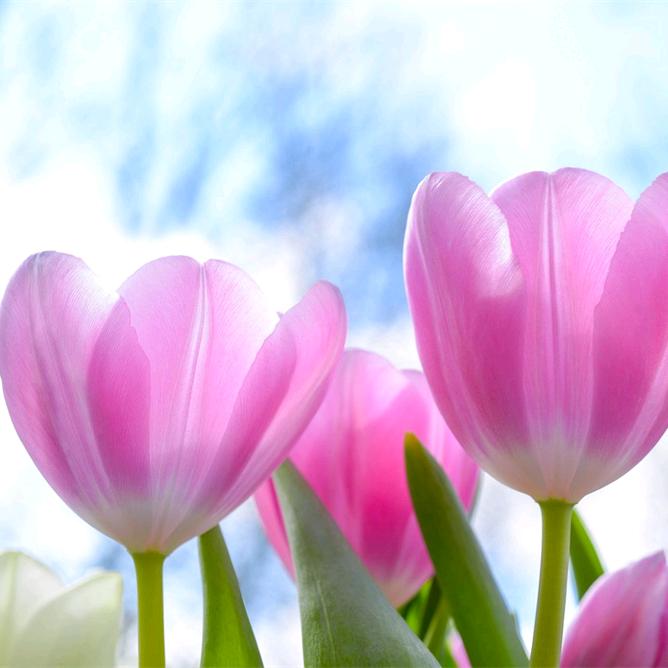 剪刀小裁缝服饰旗舰店