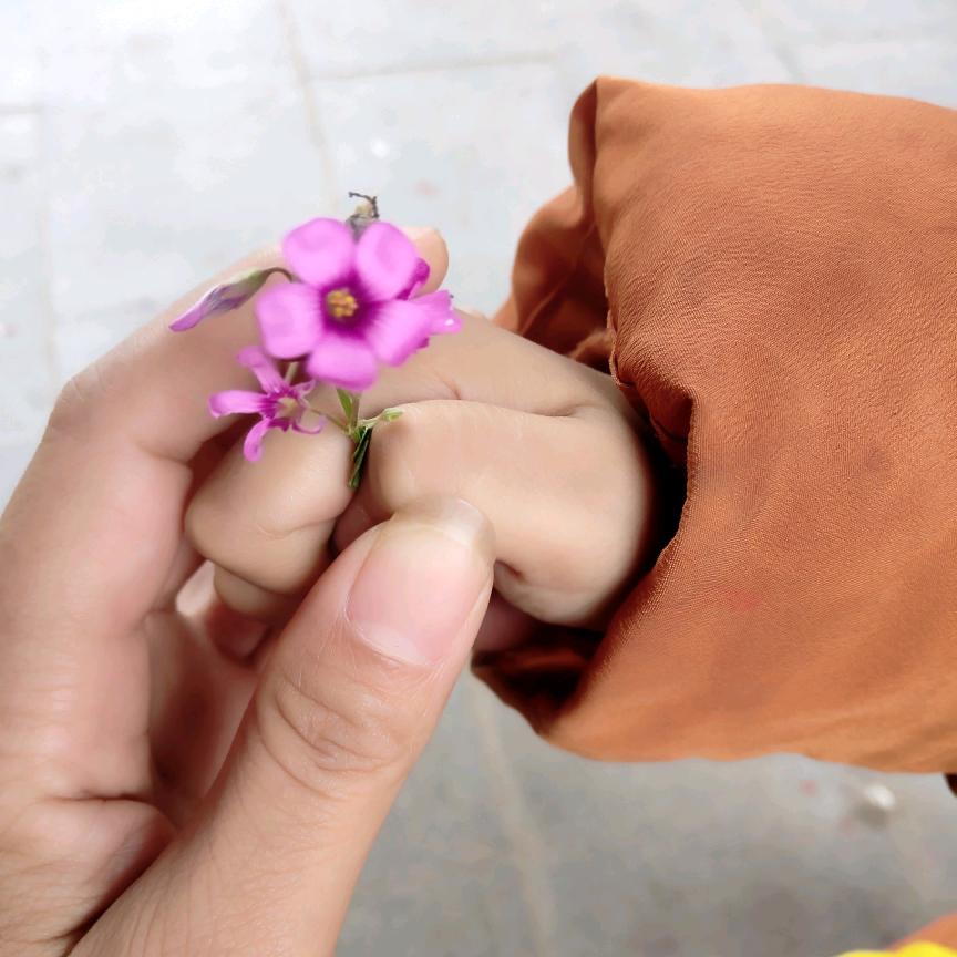 芊芊吖