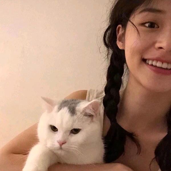 ⁸⁵半糖