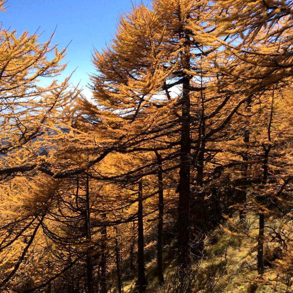 隆庆达工程运输有限公司