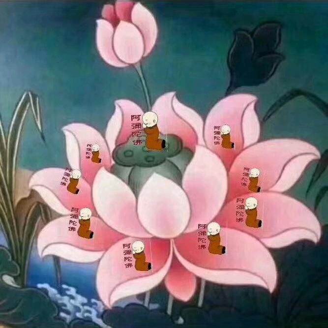 妙华