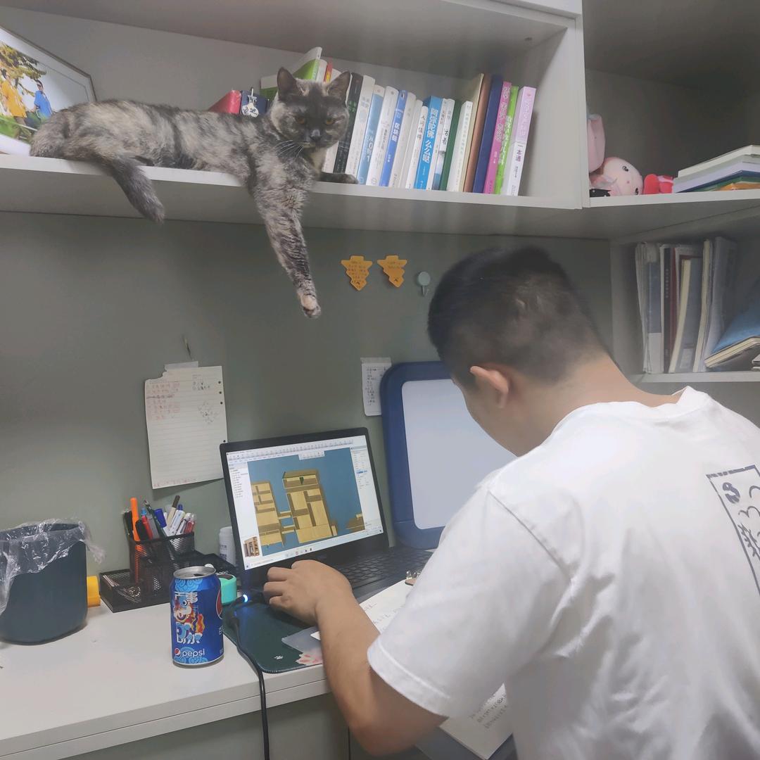 向日葵🌻+全屋定制