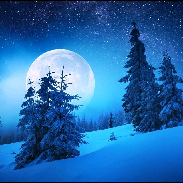 葡萄美酒夜光杯