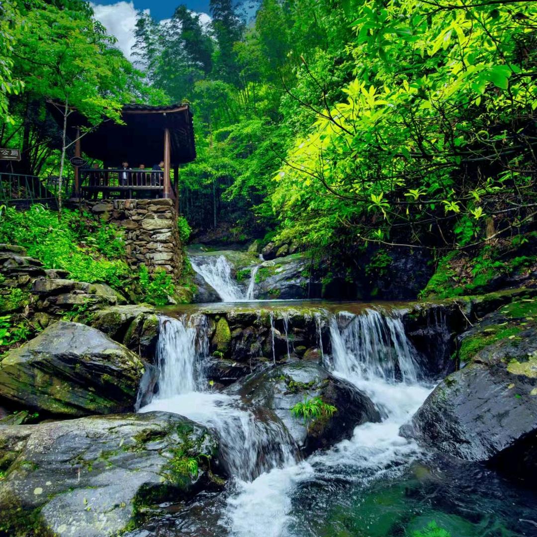 龙潭风景区·森林溯溪·飞拉达瀑降