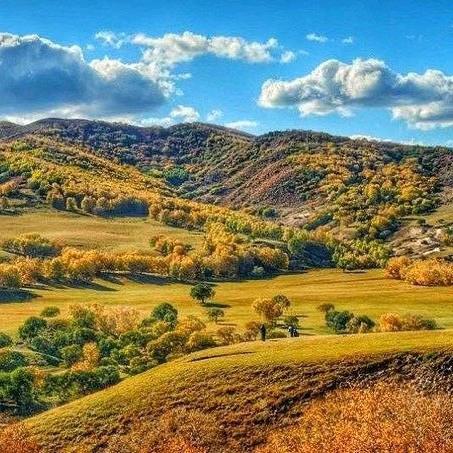 宽阔园林绿化工程有限公司