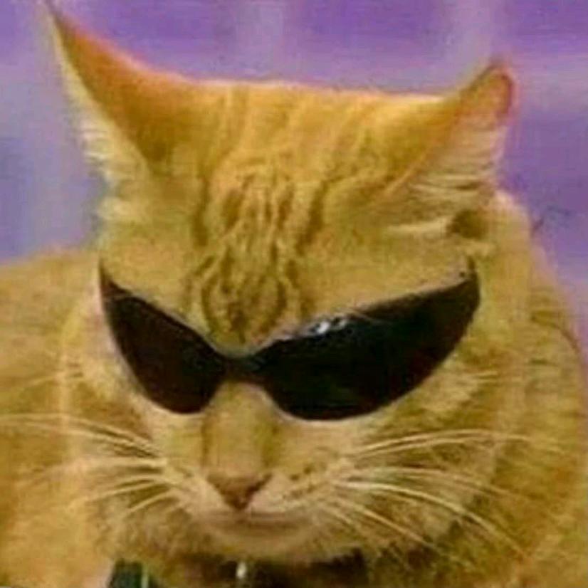 橘猫想吃麦当劳