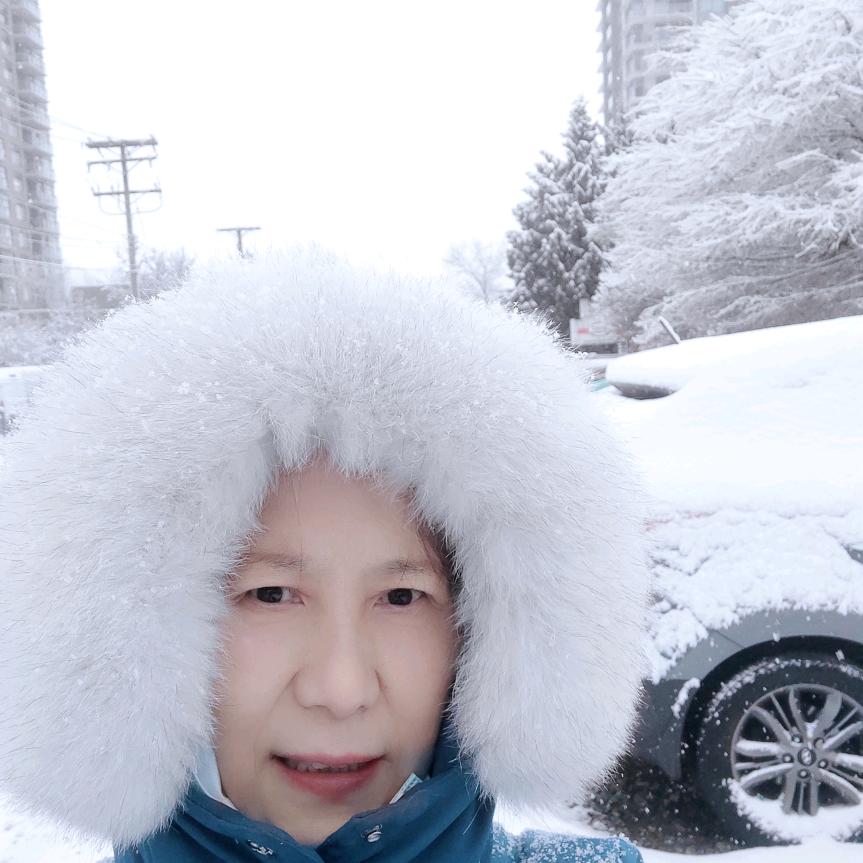 大自然枫叶