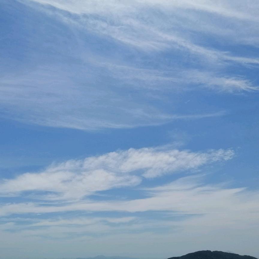 人间清醒