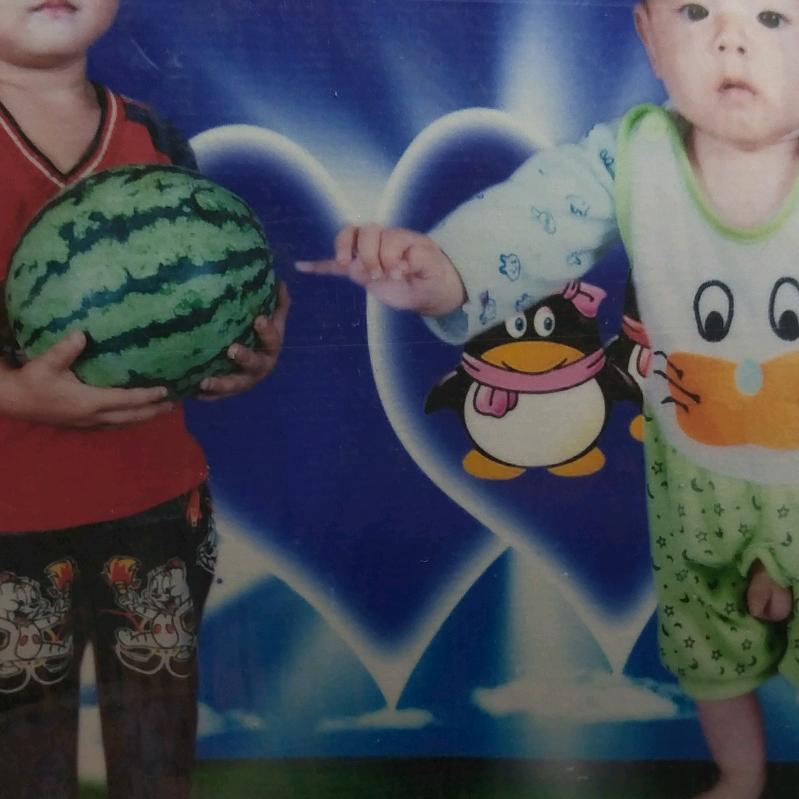 阮总带你建门楼.