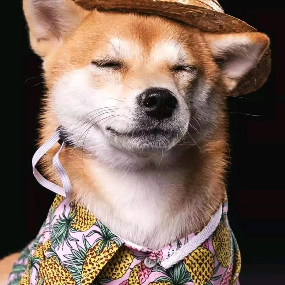 你好，未来