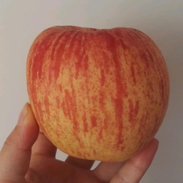 烟台栖霞苹果专业户