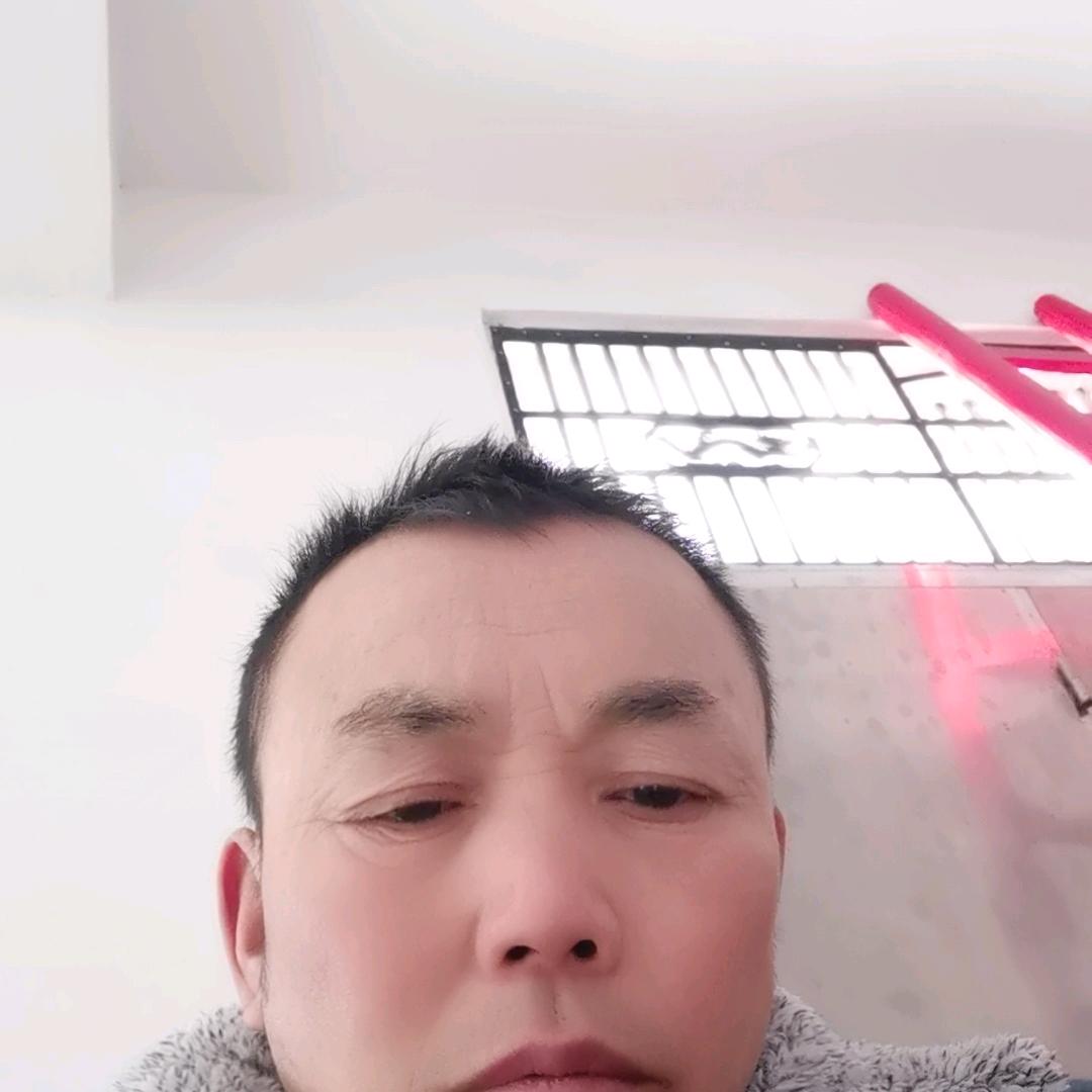 站在金树下的你