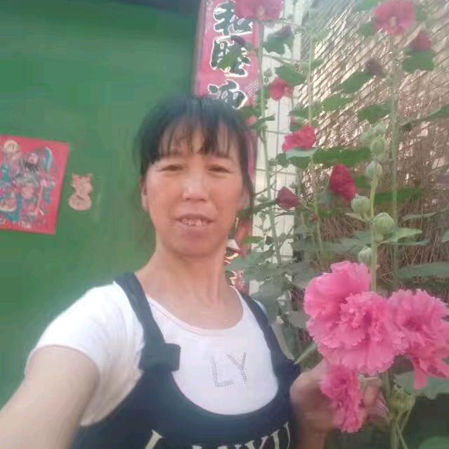 开心果