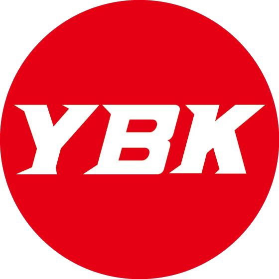 YBK少年球王