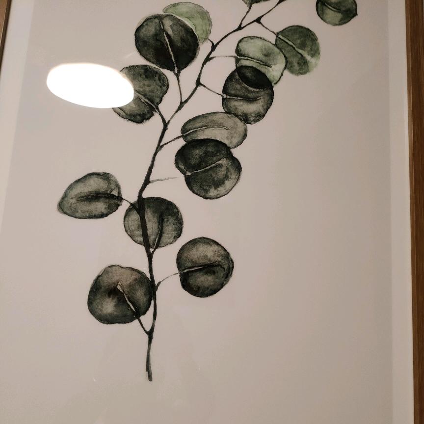 健康是福