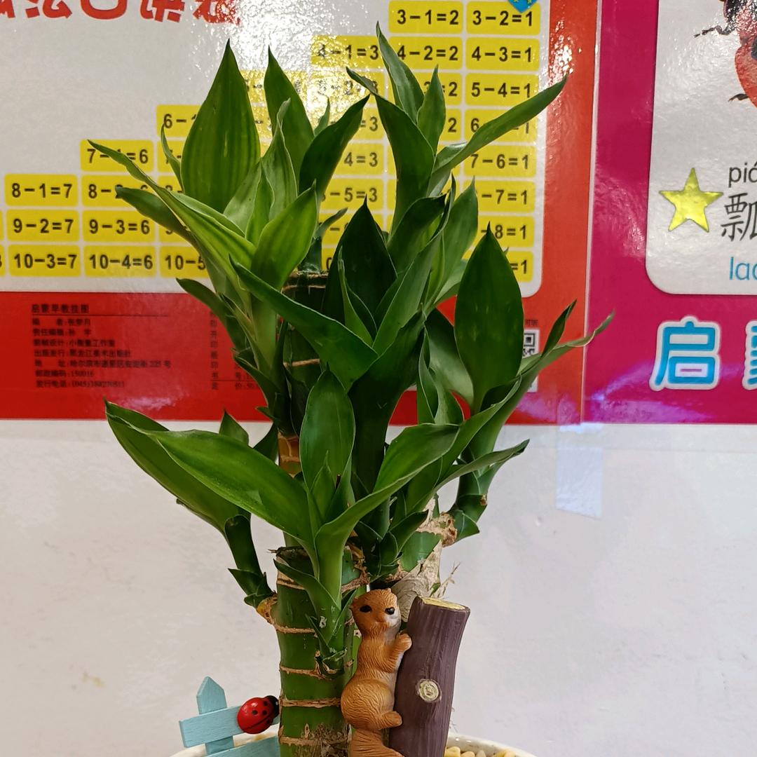 平定天下
