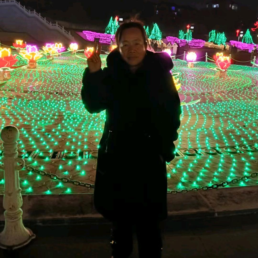 阁下的星河
