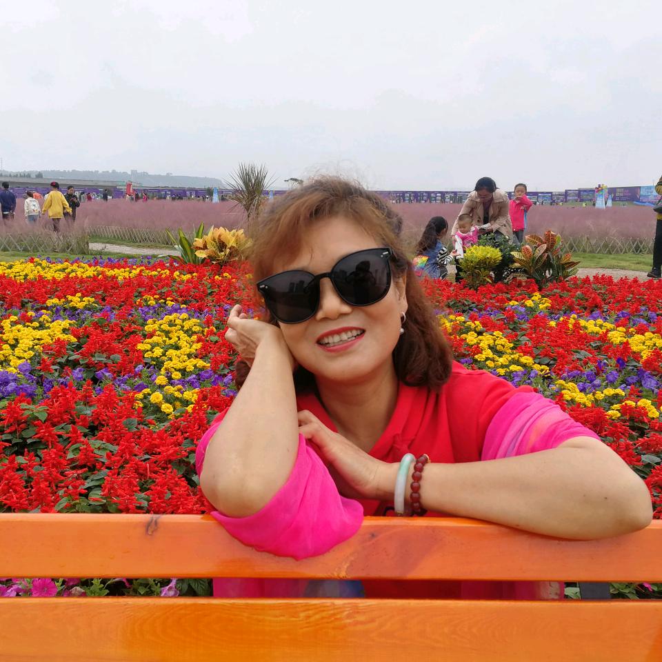 🌺@东方之华颜🌺（手机摄影）拒私聊