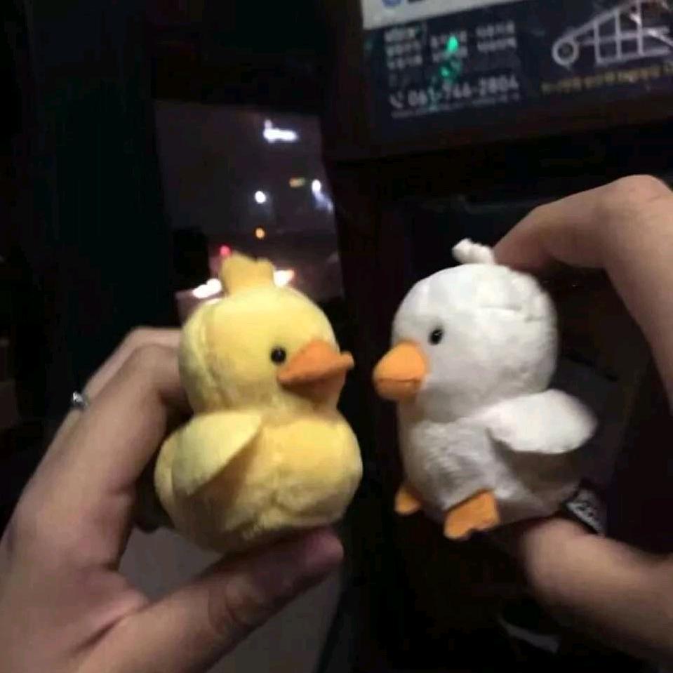 蕉泥座人