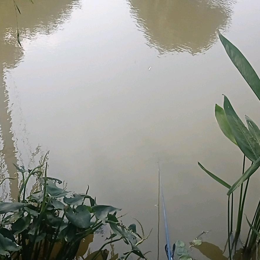 江阴_未定义