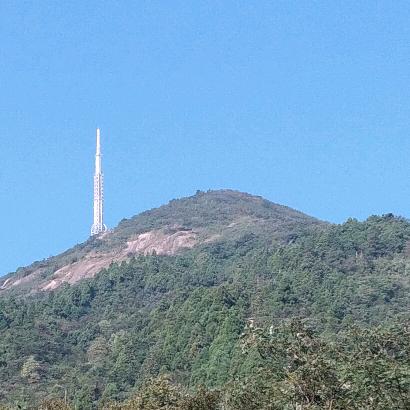 💫🎤💫歌声如蜂💫🎤💫