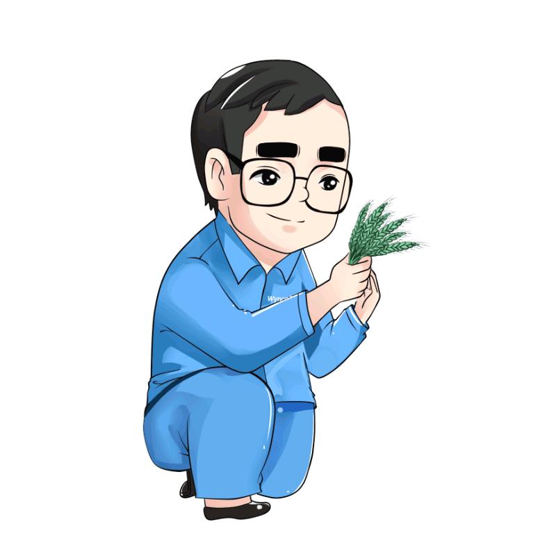 新安除草专家