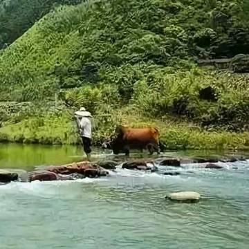 乡野大兵