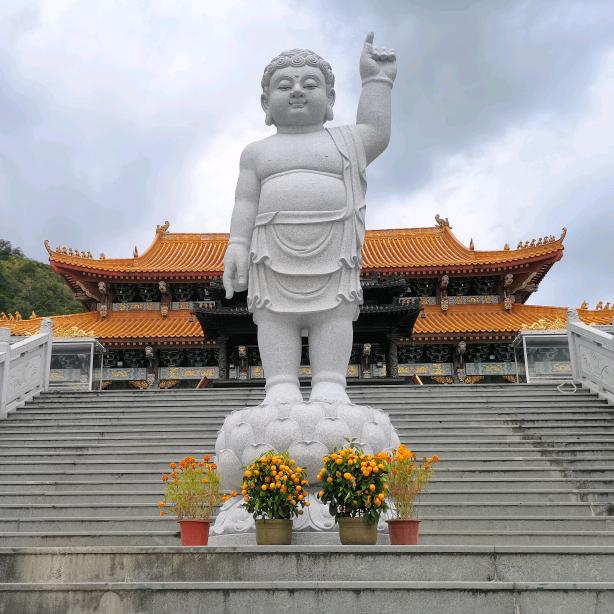 我不是大师