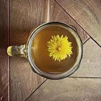蒲公英花 🥃