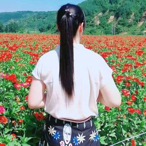 贾装不知道