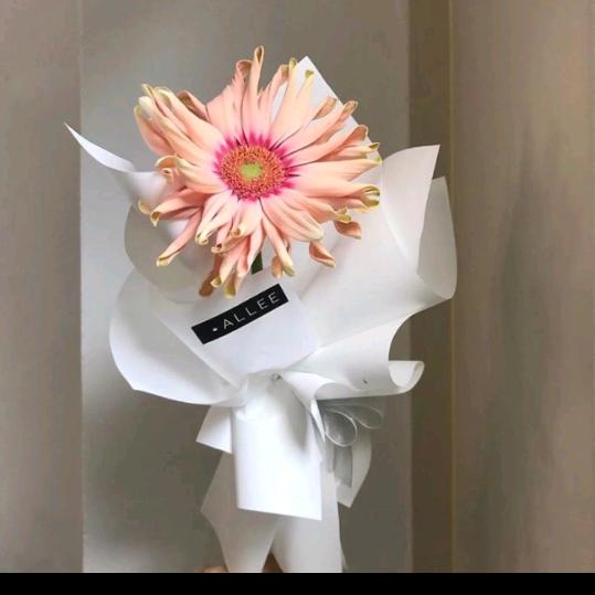 浪花花一朵朵🌸