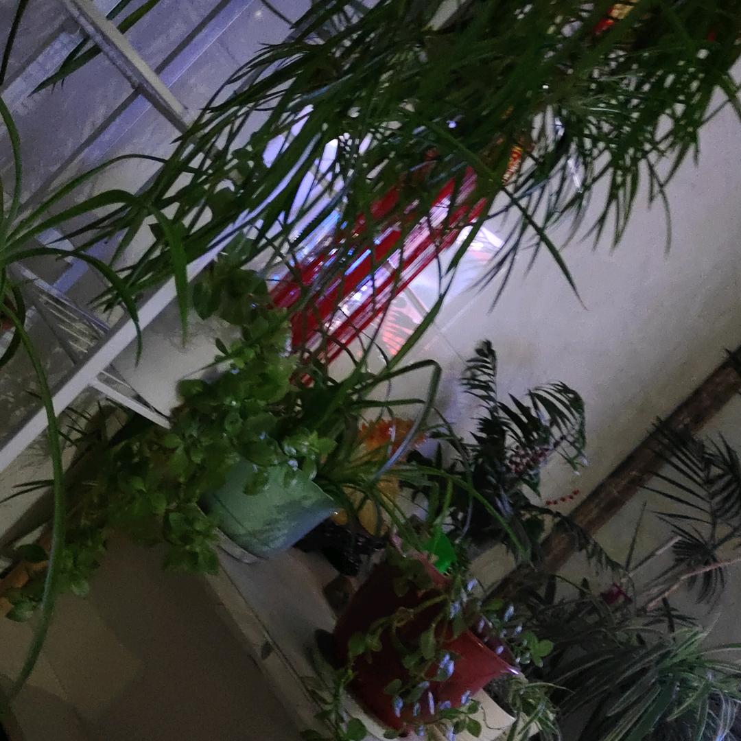 周为全