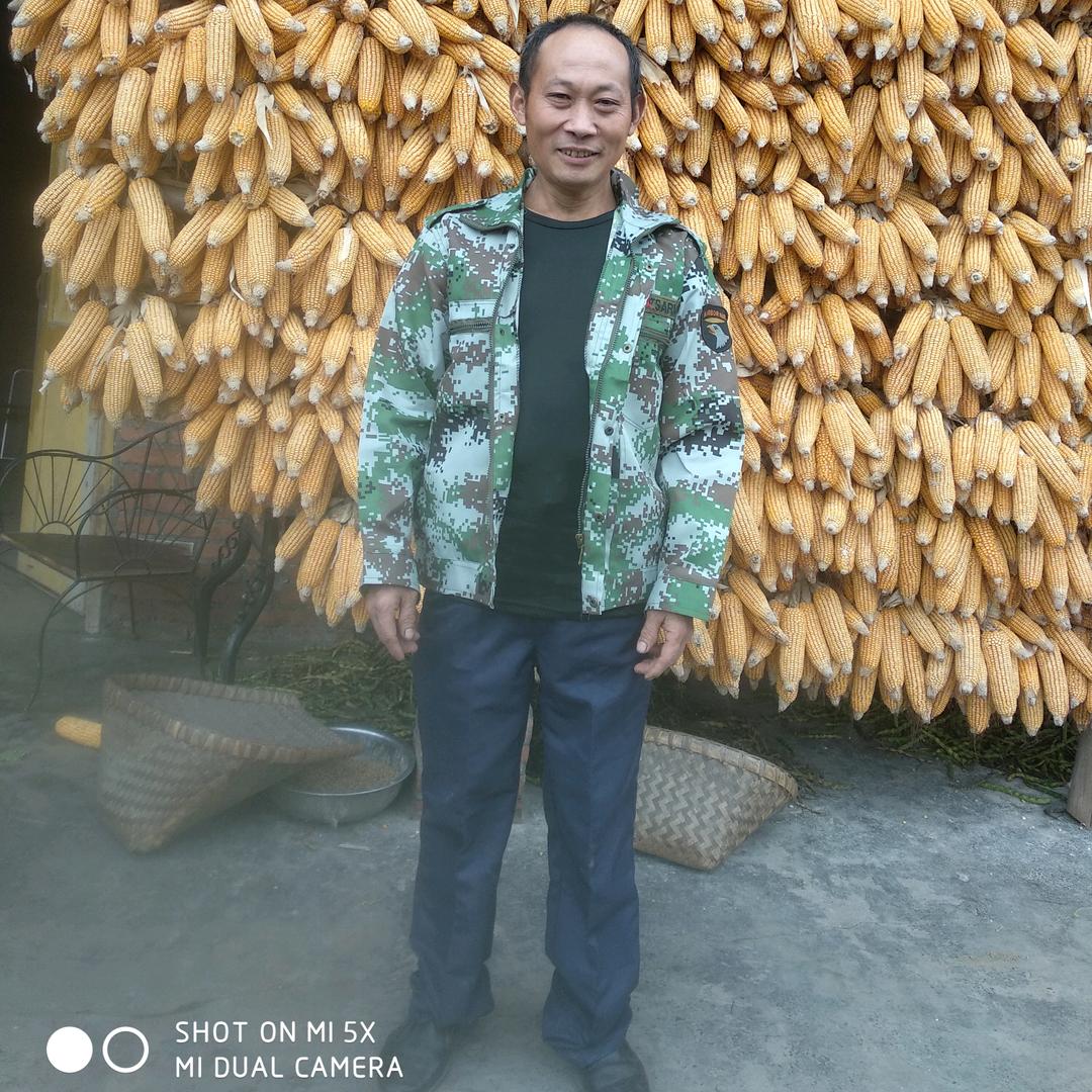逍遥自在