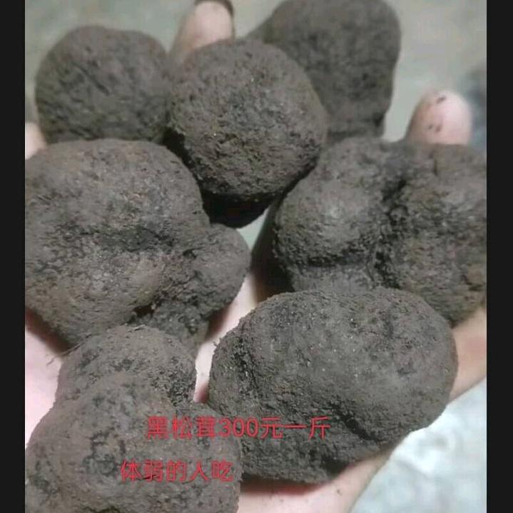春天的阳光