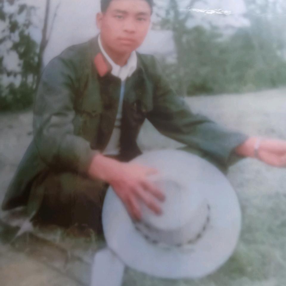 只若初见