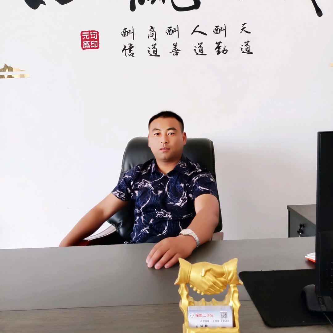 振新二手车