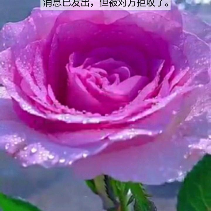 用户7199486555442