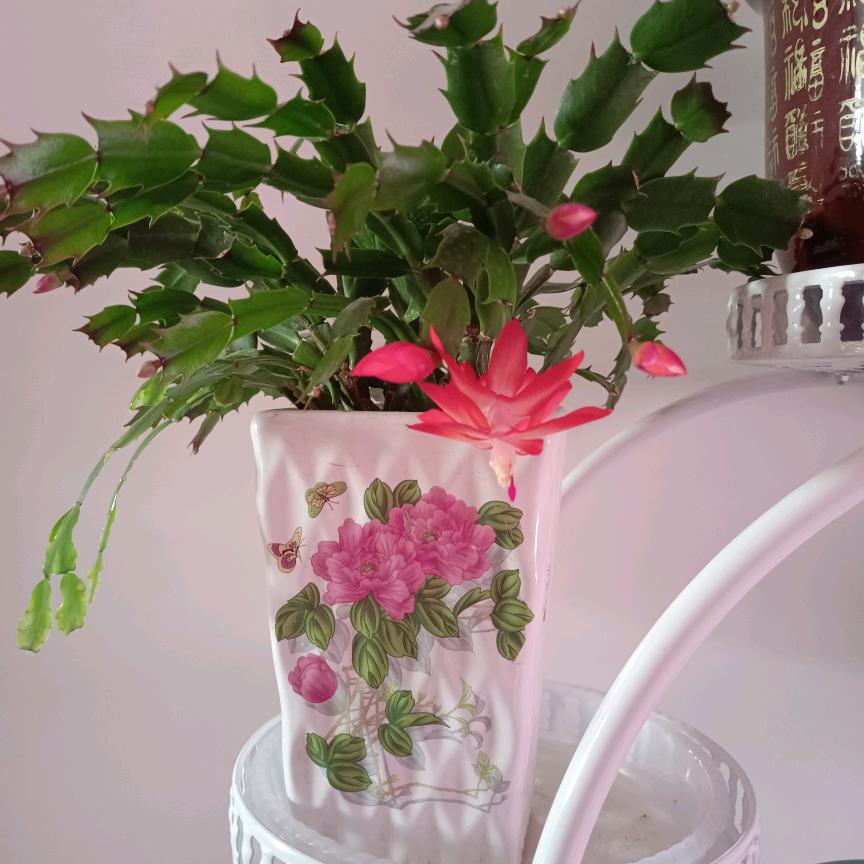 威风锣鼓，一帆风顺