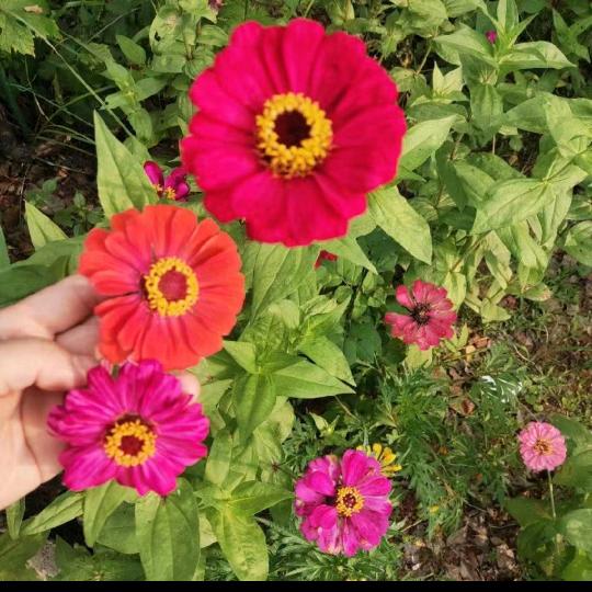 往后余生你我相伴。