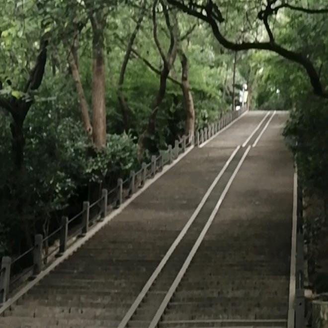 断线的风筝