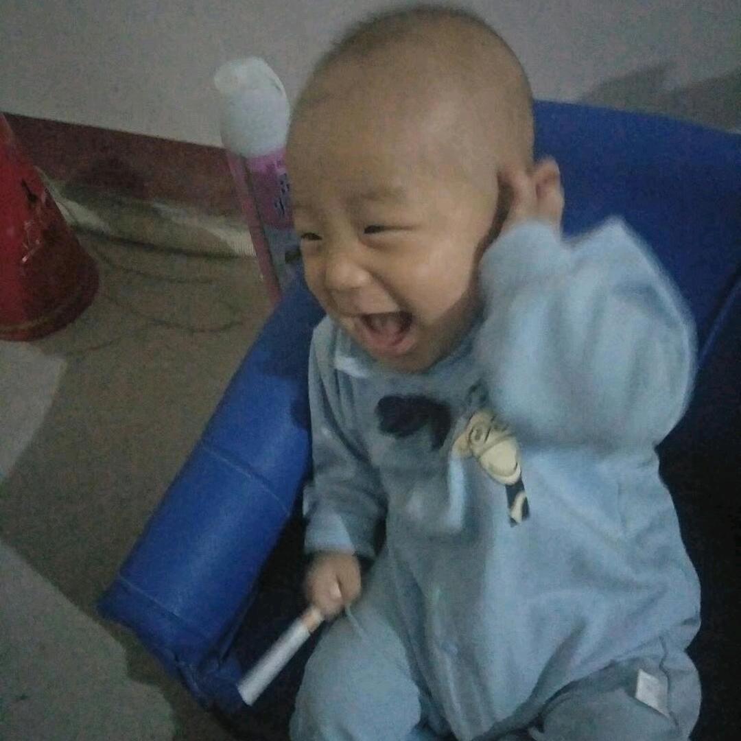 完美人生，樊