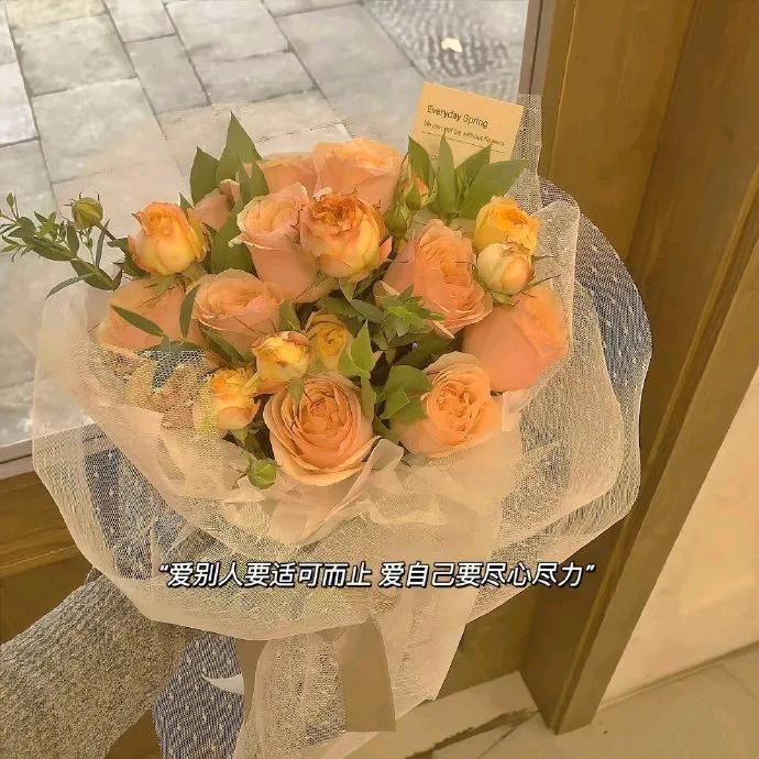 南风知我意
