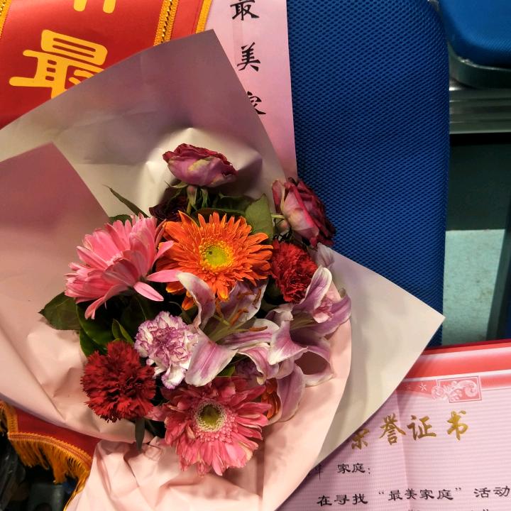 木棉