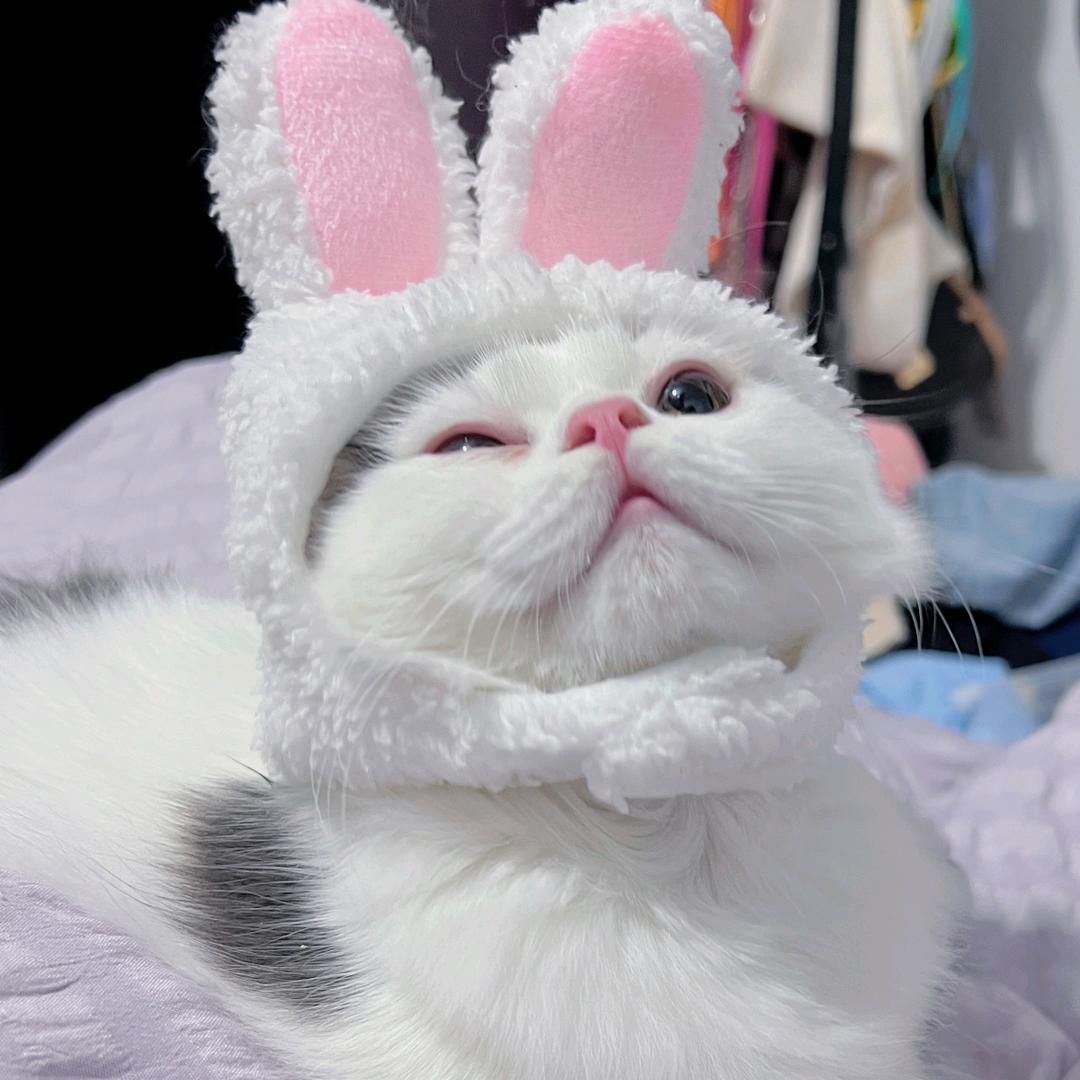 不举哑铃