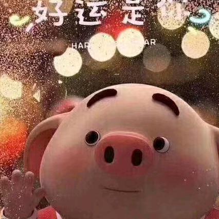 吾爱的小白