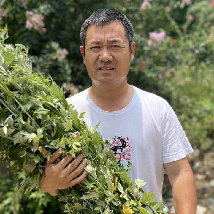 刘老师手工艾条