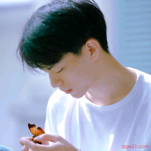 ╭(╯清风╰)╮